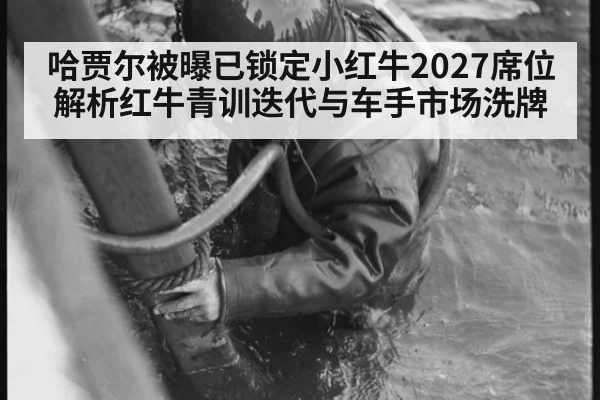 哈贾尔被曝已锁定小红牛2027席位 解析红牛青训迭代与车手市场洗牌（j9.com）
